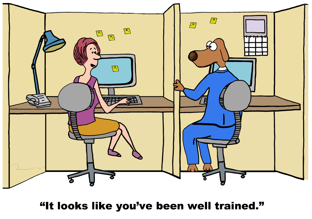 dog training by highly qualified dog trainer at pet lodges